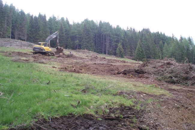 Aufarbeiten nach Holzschlägerungsarbeiten