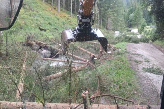 Entfernung von geschlägerten Baumstämmen