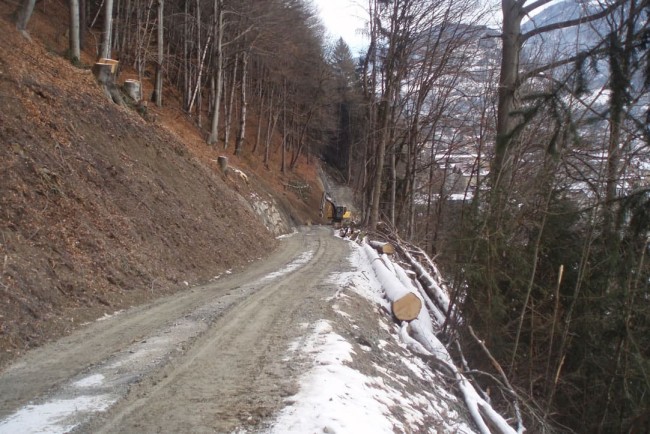 Errichtung Forstweg Schönbergsiedlung