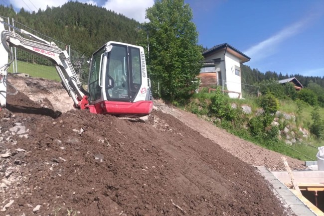 Bagger TB228 von Gfrerer Erdbau